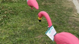 社長のニューオリンズ日記