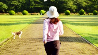 目指せ、スリムな健康体